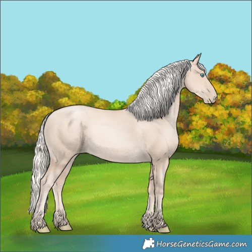 Horse Color:Gold Cream Champagne Pearl Rabicano