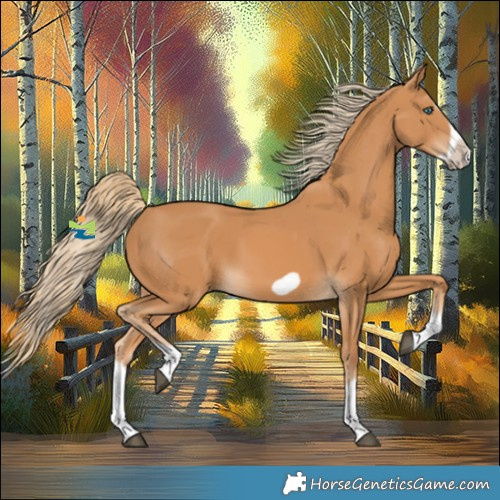 Horse Color:Chestnut Splash Frame