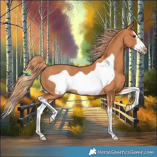 Horse Color:Chestnut Splash Frame 