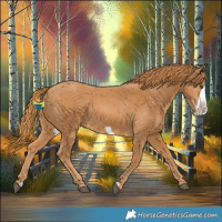 Horse Color:Chestnut Frame 