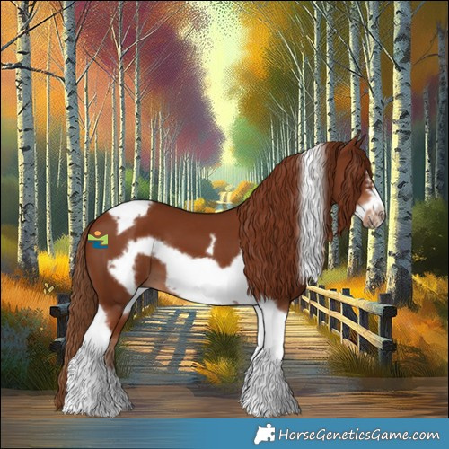 Horse Color:Chestnut Tobiano Frame