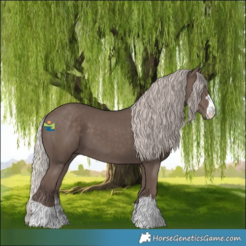 Horse Color:Silver Black 