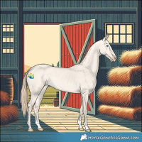 Horse Color:Perlino Dun 