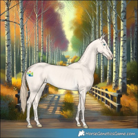 Horse Color:Perlino Dun