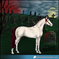 Horse Color:Cremello