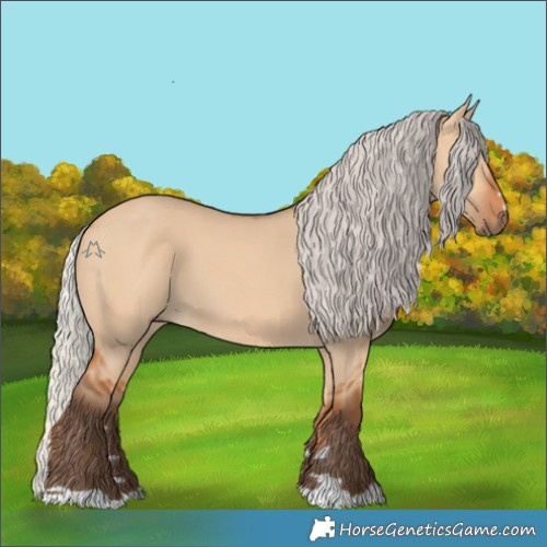 Horse Color:Silver Bay Dun 