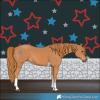 Horse Color:Chestnut Tobiano 