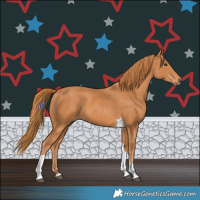 Horse Color:Chestnut Tobiano 