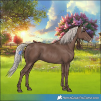 Horse Color:Silver Black Frame 