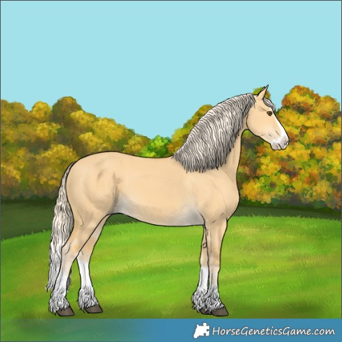 Horse Color:Palomino Dun Splash 