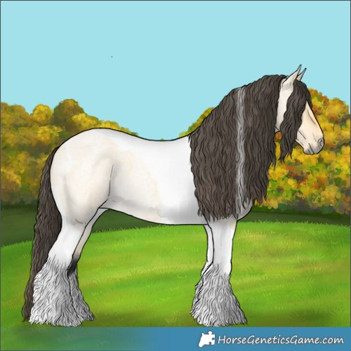 Horse Color:Buckskin Roan Dun Tobiano 