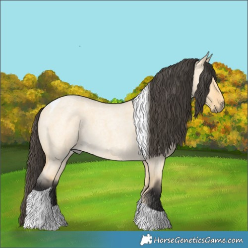Horse Color:Buckskin Roan Dun Tobiano