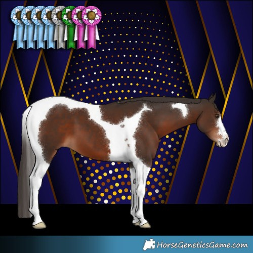 Horse Color:Liver Chestnut Tobiano 