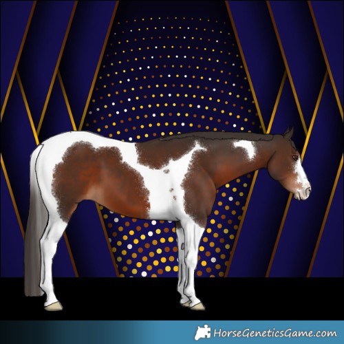 Horse Color:Liver Chestnut Tobiano 