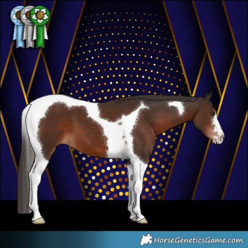 Horse Color:Liver Chestnut Tobiano 