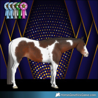 Horse Color:Liver Chestnut Tobiano 