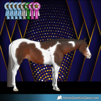 Horse Color:Liver Chestnut Tobiano 