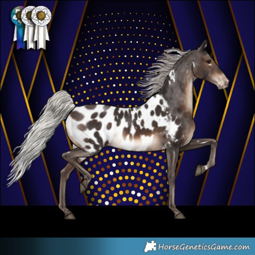 Horse Color:White Spotted Silver Brown Blanket 