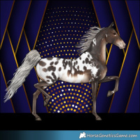 Horse Color:White Spotted Silver Brown Appaloosa 
