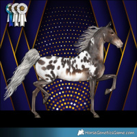 Horse Color:White Spotted Silver Brown Blanket 