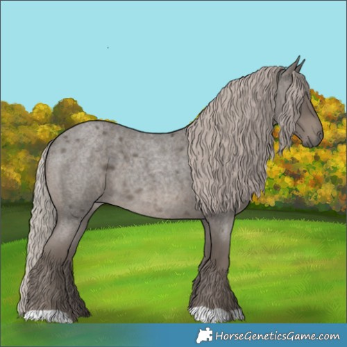 Horse Color:Silver Blue Roan 