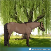 Horse Color:Liver Red Dun 