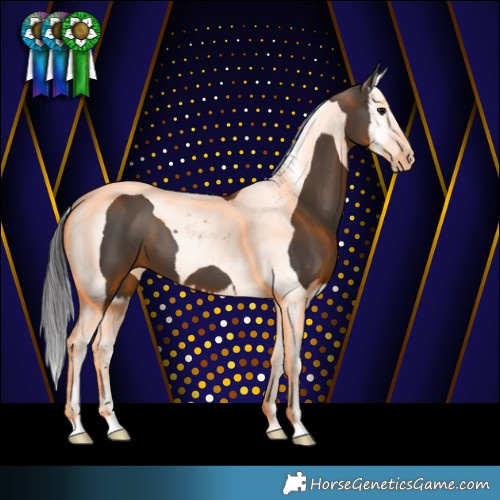Horse Color:Smoky Black Splash Tobiano 