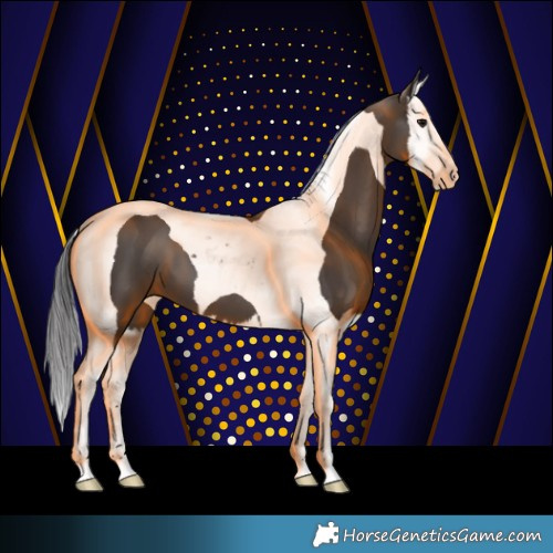 Horse Color:Smoky Black Splash Tobiano 