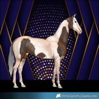 Horse Color:Smoky Black Splash Tobiano 