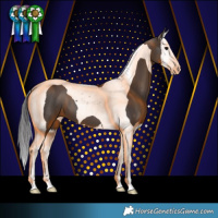 Horse Color:Smoky Black Splash Tobiano 