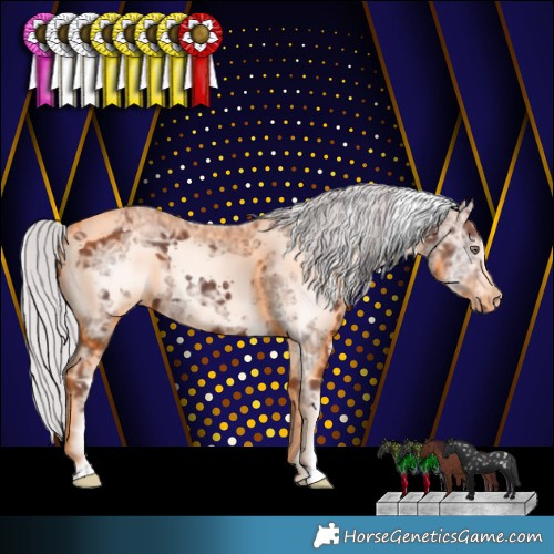 Horse Color:White Spotted Chocolate Silver Black Chinchilla Ice 