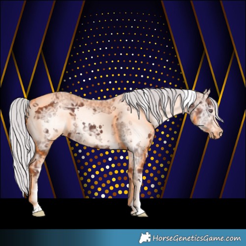 Horse Color:White Spotted Chocolate Silver Black Chinchilla Ice 