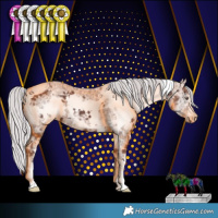 Horse Color:White Spotted Chocolate Silver Black Chinchilla Ice 