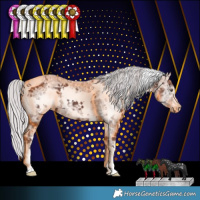 Horse Color:White Spotted Chocolate Silver Black Chinchilla Ice 