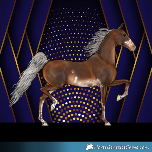 Horse Color:Silver Brown 