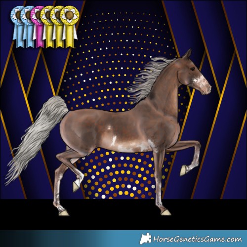 Horse Color:Silver Brown 