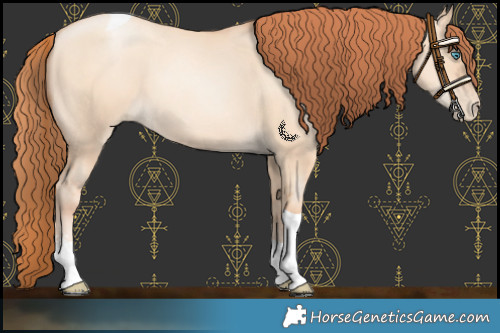 Horse Color:Sable Champagne Pearl Dun Sabino Tobiano 