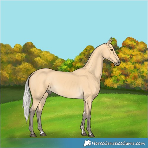 Horse Color:Silver Buckskin 