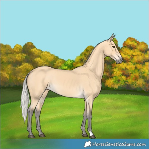 Horse Color:Silver Buckskin