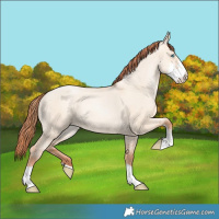 Horse Color:Sable Champagne Pearl Dun Sabino Tobiano 