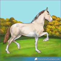 Horse Color:Sable Champagne Pearl Dun Sabino Tobiano 