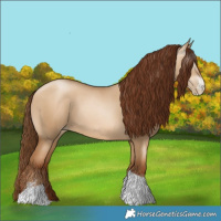 Horse Color:Gray Sable Champagne Pearl Dun Sabino Tobiano