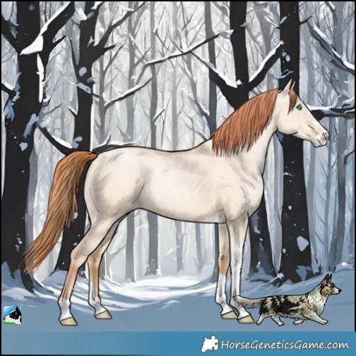 Horse Color:Sable Champagne Pearl Dun Sabino Tobiano