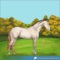 Horse Color:Sable Champagne Pearl Dun Sabino Tobiano 