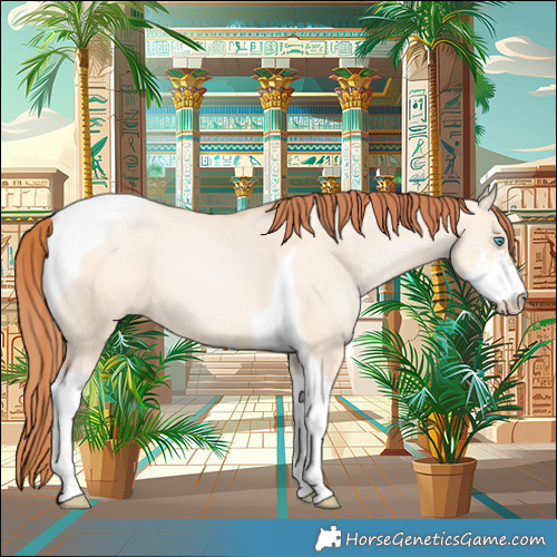 Horse Color:Sable Champagne Pearl Dun Sabino Tobiano