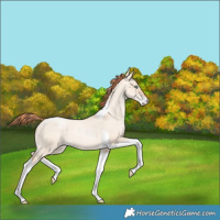 Horse Color:Classic Champagne Pearl Dun Sabino Tobiano