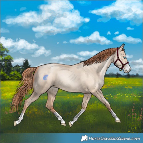 Horse Color:Sable Champagne Pearl Dun Sabino Tobiano 
