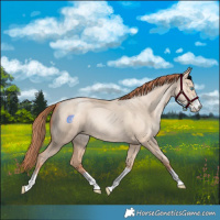 Horse Color:Sable Champagne Pearl Dun Sabino Tobiano 