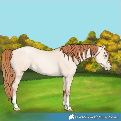 Horse Color:Sable Champagne Pearl Dun Sabino Tobiano 