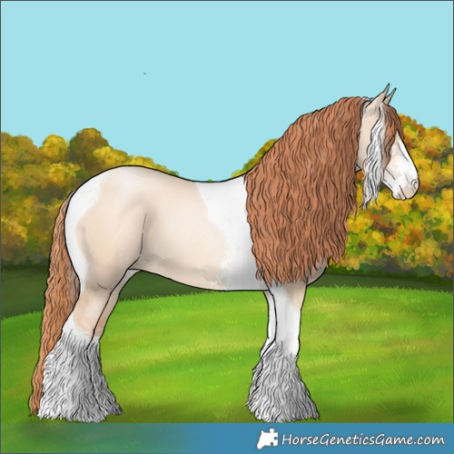 Horse Color:Classic Champagne Pearl Dun Sabino Tobiano 